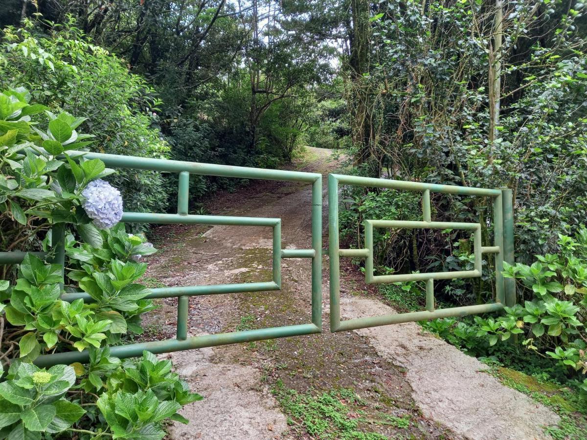 モンテベルデ Casa De Montana Tica Lindaヴィラ エクステリア 写真
